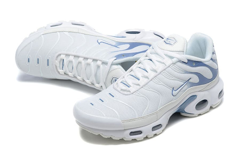 Air Max TN Plus Ashen Slate