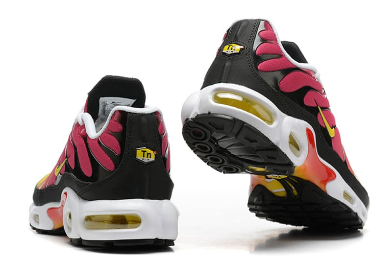 Air Max TN Plus Raibow