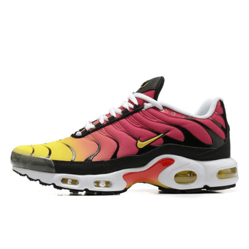 Air Max TN Plus Raibow