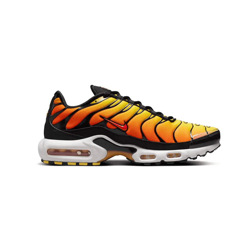 Air Max TN Plus Sunset