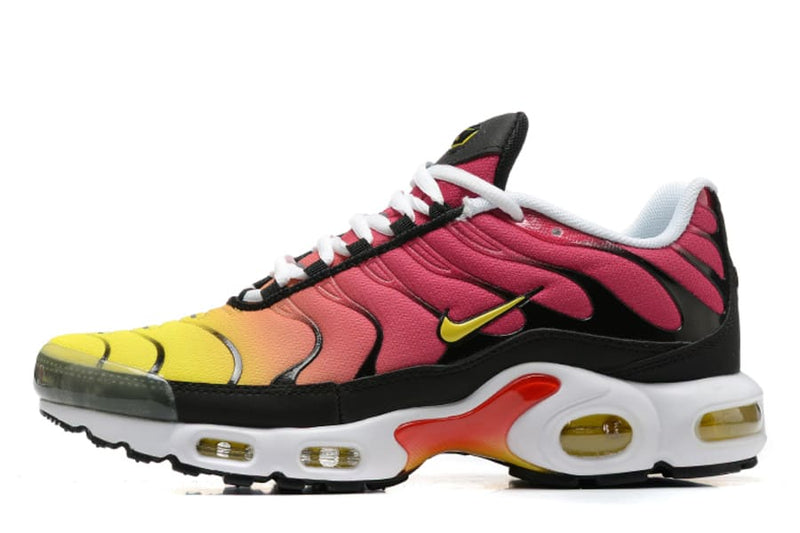 Air Max TN Plus Raibow