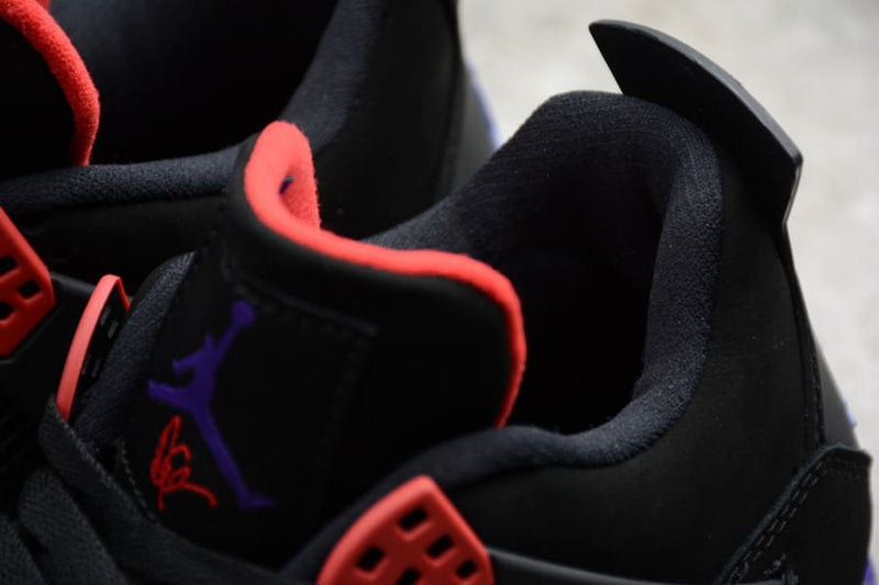 Air Jordan 4 Raptors