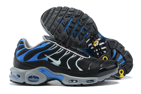 Air Max TN Plus Reverse Blue