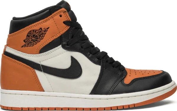 Air Jordan 1 Shattered Backboard 1.0