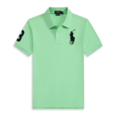 Polo Ralph Lauren Minimalista Verde