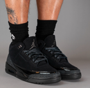 Air Jordan 3 Black Cat
