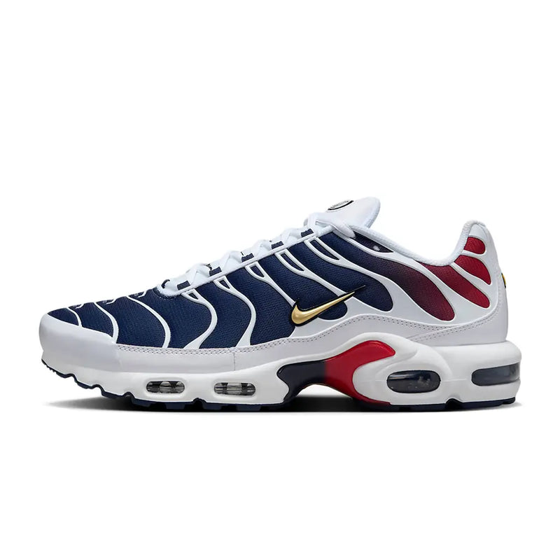 Air Max TN Plus PSG